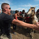 These laws started springing up after the Standing Rock protests against the Dakota Access Pipeline in 2016.